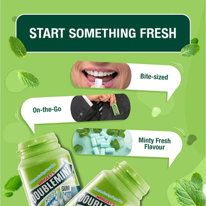 Doublemint Cool Menthol & Eucalyptus Bottle Chewing Gum Pack of 8
